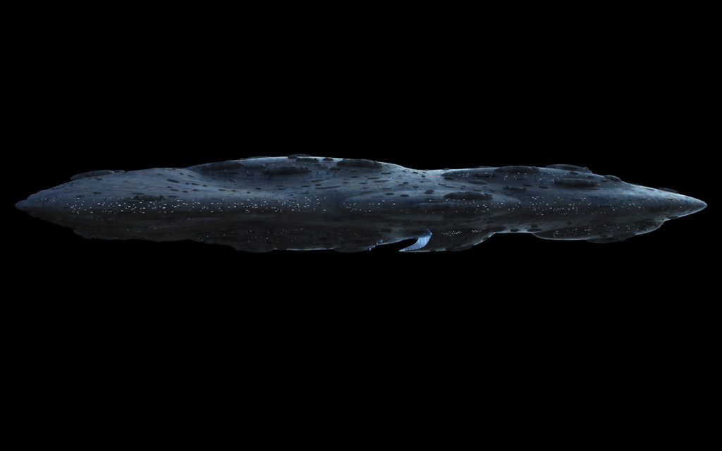 mc24